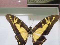 -上海昆虫博物馆