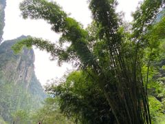 -刘伯温故里景区百丈漈