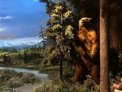 -陕西自然博物馆