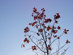 -广州市白云山风景名胜区