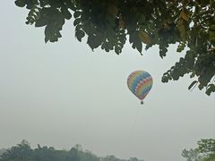 -中国科学院西双版纳热带植物园