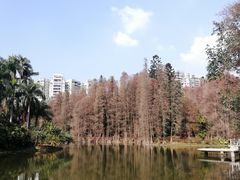 -华南国家植物园-售票处