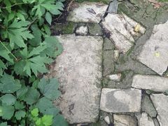 -老象峰