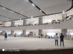 -TheRink大零溜冰场(IFS国金中心店)