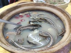 -汤氏美食台山水步特色黄鳝饭(龙津东路店)