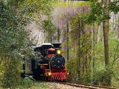 -合肥滨湖国家森林公园