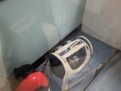 -特一安24小时宠物医院·骨科·中兽医