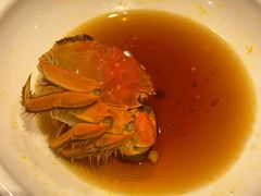 熟醉蟹-老吉士酒家(天平路店)