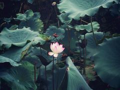 -渔米粥(罗湖店)