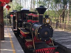 -合肥滨湖国家森林公园