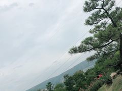 -中国唐苑