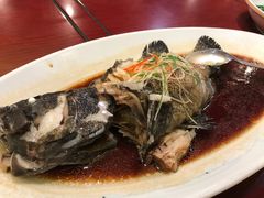 清蒸石斑鱼-聚宝渔港.五钻酒家(上地店)