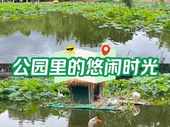 -翠湖公园