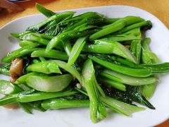 -鲤鱼塘农家山庄