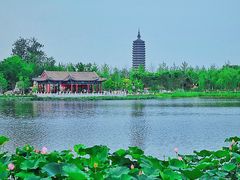 -西海子公园