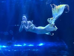 -华夏文旅海洋公园