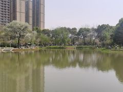 -堤角公园