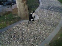 -泰州凤城河风景区-泰山公园