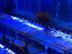 -简家·海鲜盛宴(下沙店)