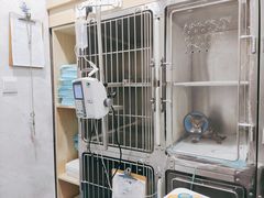 -心语宠物医院·急重症转诊中心·瑞辰华诺(南青路店)
