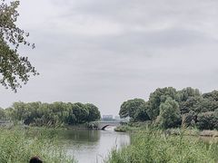 -大兴滨河森林公园