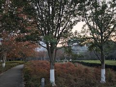 -白塘生态植物园