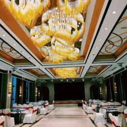 -迎宾一号酒店·宴会厅