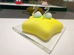 -BLACKSWAN黑天鹅(新希望店)