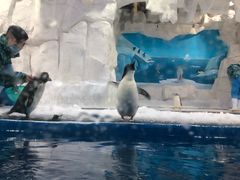 -华夏文旅海洋公园