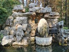 -上海醉白池公园