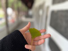 -苏州文庙(姑苏区)