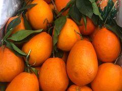 -东方鼎信农副产品交易中心