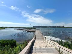 -启东黄金海滩景区