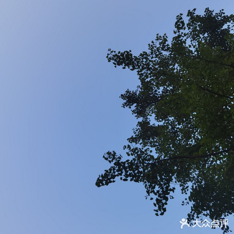 饭后闲逛，茶鱼乘凉