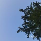 饭后闲逛,茶鱼乘凉