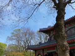 -灵谷景区
