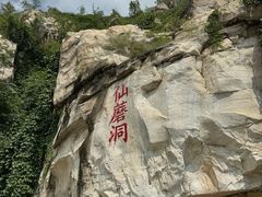 -仙蘑洞