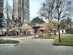 -温江公园