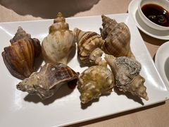 海螺-金苑海鲜酒家(来魅力店)