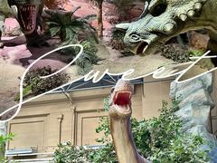 -国家自然博物馆