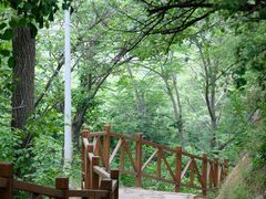 -大岭沟猕猴桃谷风景区