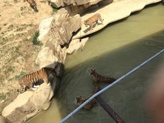 -无锡动物园·太湖欢乐园