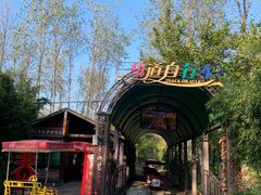 -合肥滨湖国家森林公园