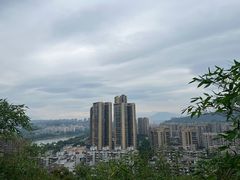 -福道