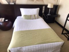 -国家会议中心大酒店