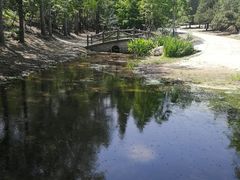 -白水寺森林公园