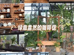 -北马山庄植趣咖啡