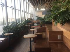 -Seesaw Coffee(朝阳大悦城店)