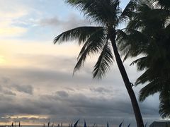 -白沙滩