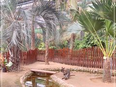 -呀路古热带植物园